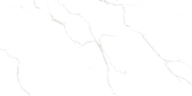 Duna/Velsaa - Керамогранит - Sisam White Glossy (Серия LIGHT)- 120х60 см Duna/Velsaa - Керамогранит - Sisam White Glossy (Серия LIGHT)- 120х60 см