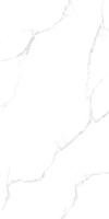 Керамогранит 600x1200 SILVER SATUARIO Керамогранит 600x1200 SILVER SATUARIO
