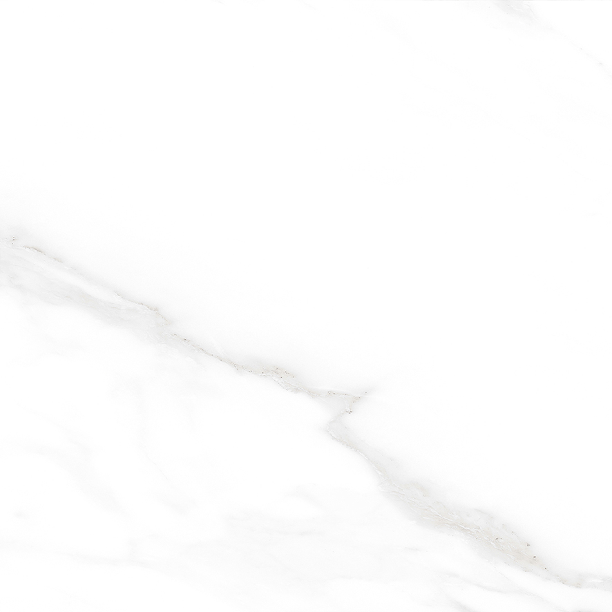 Carrara Excellent Silver Керамогранит белый 60х60 Матовый Carrara Excellent Silver Керамогранит белый 60х60 Матовый