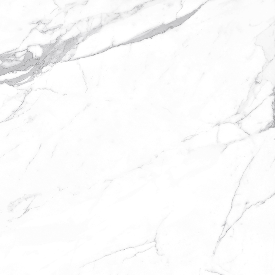 Carrara Terrific Silver Керамогранит белый 60х60 Матовый Carrara Terrific Silver Керамогранит белый 60х60 Матовый