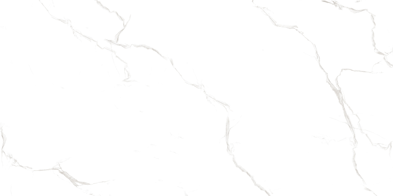 Duna/Velsaa - Керамогранит - Sisam White Glossy (Серия LIGHT)- 120х60 см Duna/Velsaa - Керамогранит - Sisam White Glossy (Серия LIGHT)- 120х60 см