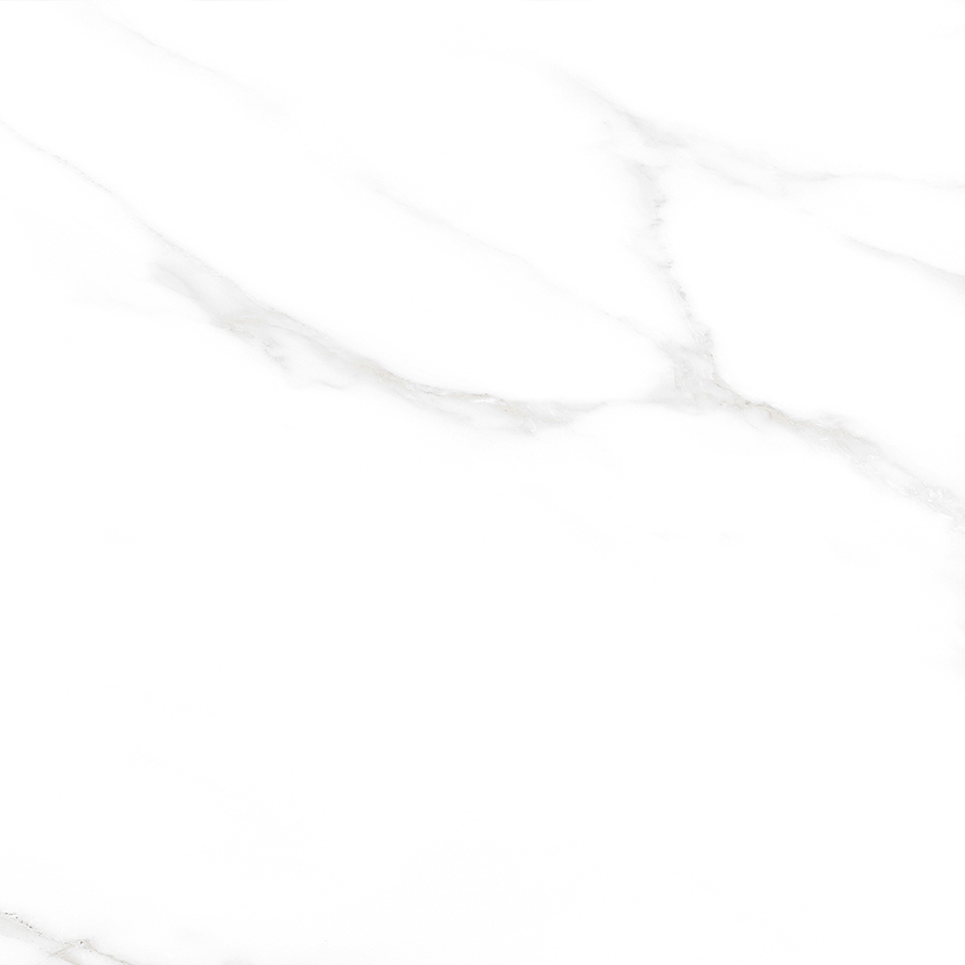 Carrara Excellent Silver Керамогранит белый 60х60 Матовый Carrara Excellent Silver Керамогранит белый 60х60 Матовый