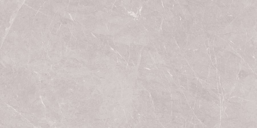 Stone Sovereign Керамогранит серый 60х120 Матовый Stone Sovereign Керамогранит серый 60х120 Матовый