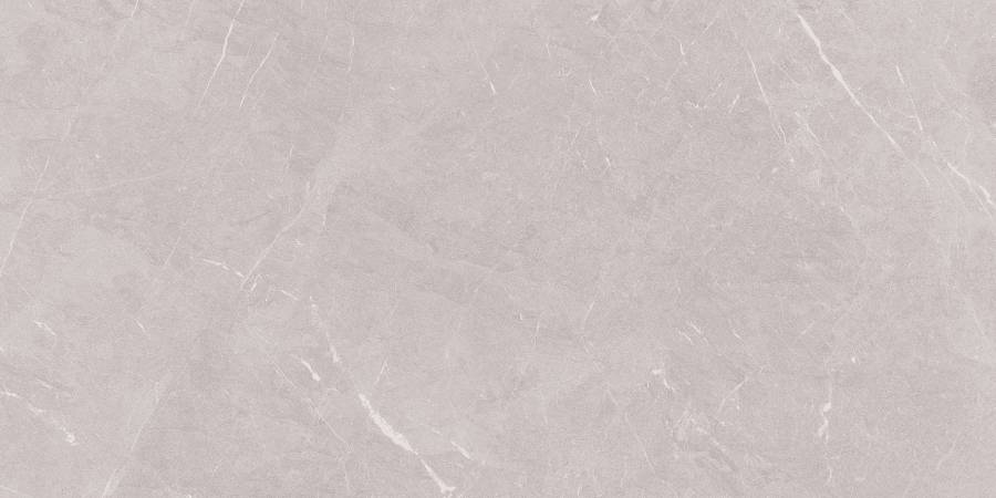 Stone Sovereign Керамогранит серый 60х120 Матовый Stone Sovereign Керамогранит серый 60х120 Матовый