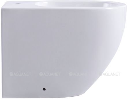 Биде напольное Aquanet Cetus 2.0 B1 LX-1831 Биде напольное Aquanet Cetus 2.0 B1 LX-1831