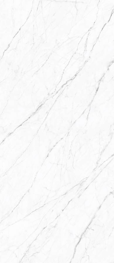 Керамогранит Carrara Twig 120х278х6 Керамогранит Carrara Twig 120х278х6