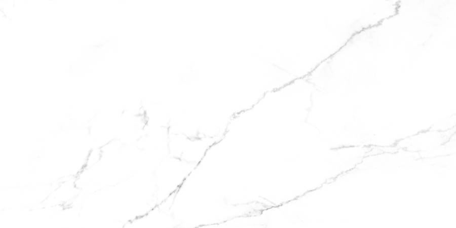 Discovery Blanco Керамогранит белый SG50002422R 60х119,5 полированный Discovery Blanco Керамогранит белый SG50002422R 60х119,5 полированный