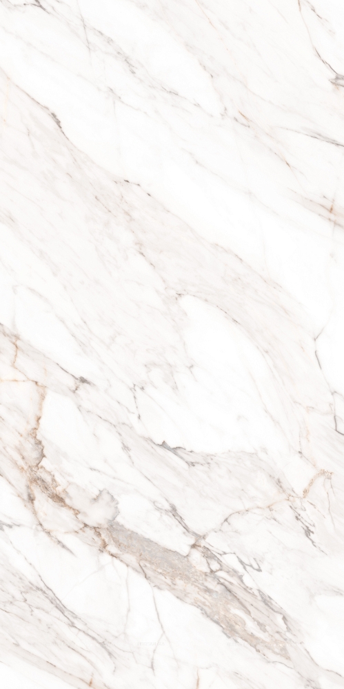 Керамогранит Calacatta Gold Polished 80х160 Керамогранит Calacatta Gold Polished 80х160