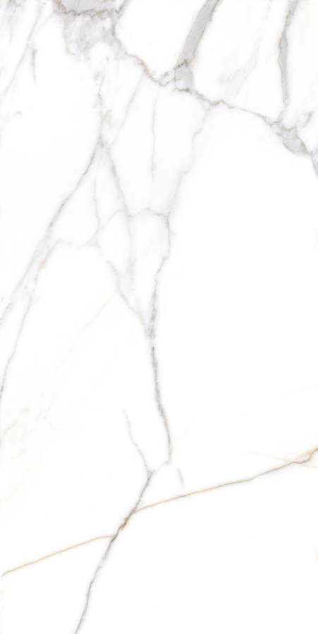 Керамогранит CRV-3140 carving 60х120 Керамогранит CRV-3140 carving 60х120