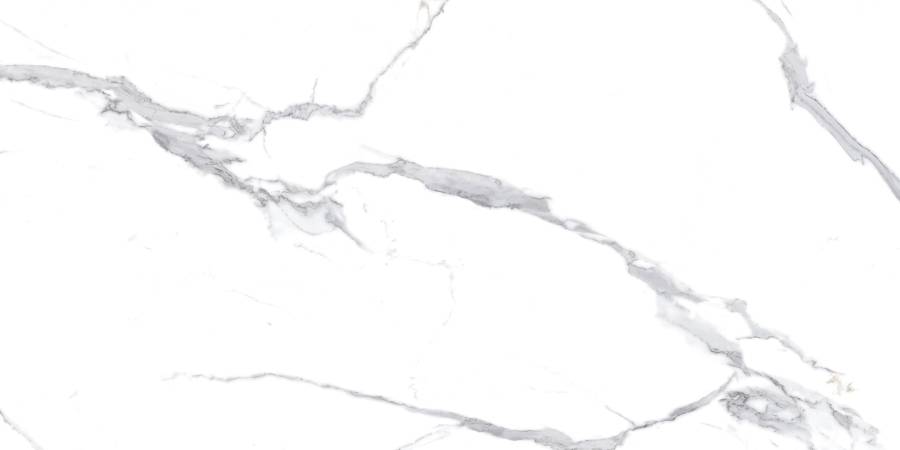 Calacatta Splendid Silver Керамогранит белый 60х120 Полированный Calacatta Splendid Silver Керамогранит белый 60х120 Полированный