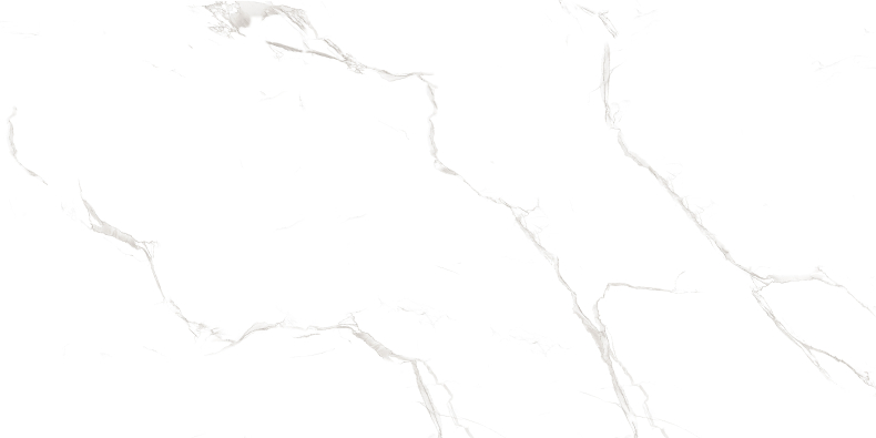 Duna/Velsaa - Керамогранит - Sisam White Glossy (Серия LIGHT)- 120х60 см Duna/Velsaa - Керамогранит - Sisam White Glossy (Серия LIGHT)- 120х60 см