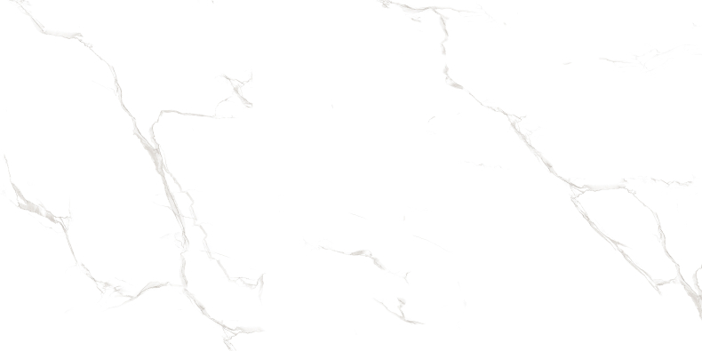 Duna/Velsaa - Керамогранит - Sisam White Glossy (Серия LIGHT)- 120х60 см Duna/Velsaa - Керамогранит - Sisam White Glossy (Серия LIGHT)- 120х60 см