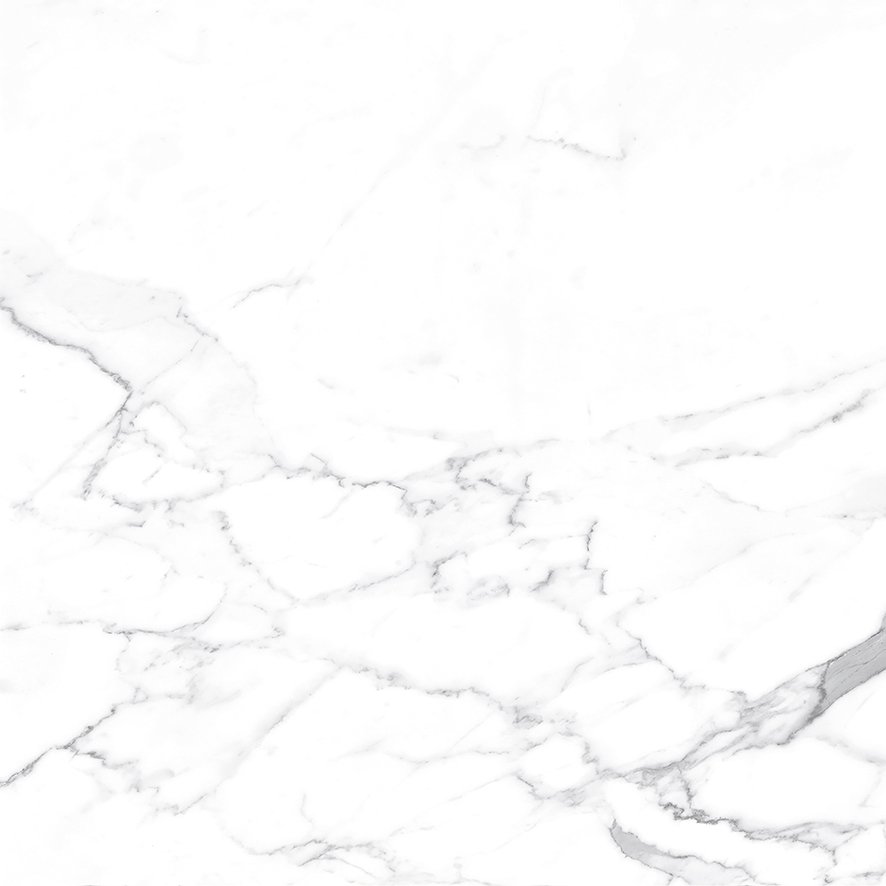 Carrara Terrific Silver Керамогранит белый 60х60 Матовый Carrara Terrific Silver Керамогранит белый 60х60 Матовый