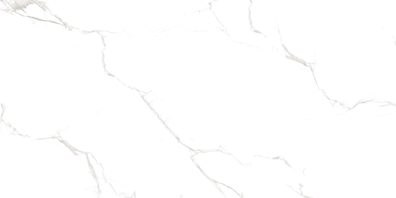 Duna/Velsaa - Керамогранит - Sisam White Glossy (Серия LIGHT)- 120х60 см Duna/Velsaa - Керамогранит - Sisam White Glossy (Серия LIGHT)- 120х60 см