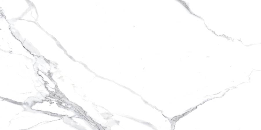 Calacatta Splendid Silver Керамогранит белый 60х120 Матовый Calacatta Splendid Silver Керамогранит белый 60х120 Матовый