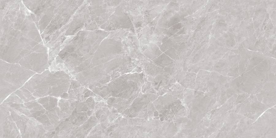 Mramor Chic Silver Керамогранит серый 60х120 Полированный Mramor Chic Silver Керамогранит серый 60х120 Полированный