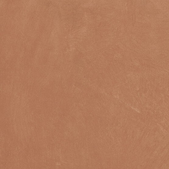 Керамогранит Anti-Slip Argillae Coral Rect 60х60 Керамогранит Anti-Slip Argillae Coral Rect 60х60