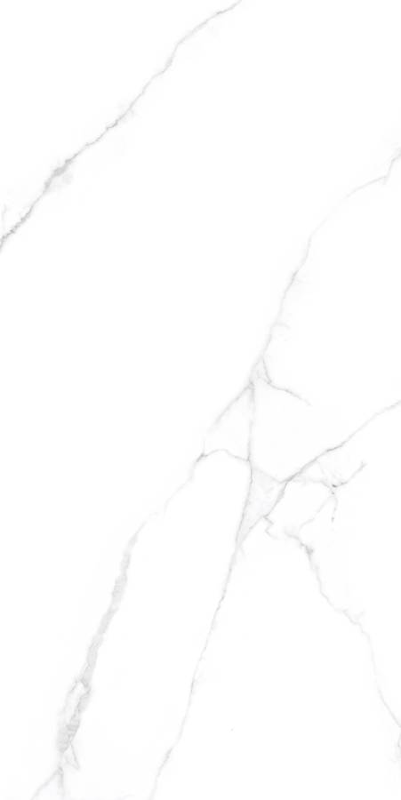 Керамогранит CRV-3141 carving 60х120 Керамогранит CRV-3141 carving 60х120