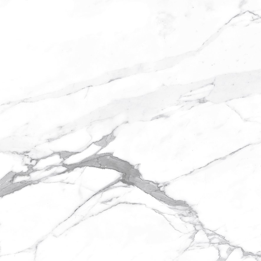 Carrara Terrific Silver Керамогранит белый 60х60 Матовый Carrara Terrific Silver Керамогранит белый 60х60 Матовый