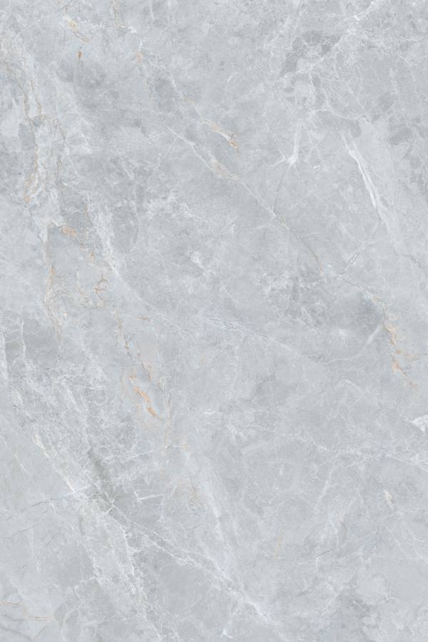 Керамогранит Grey Amazon 120х180 Керамогранит Grey Amazon 120х180