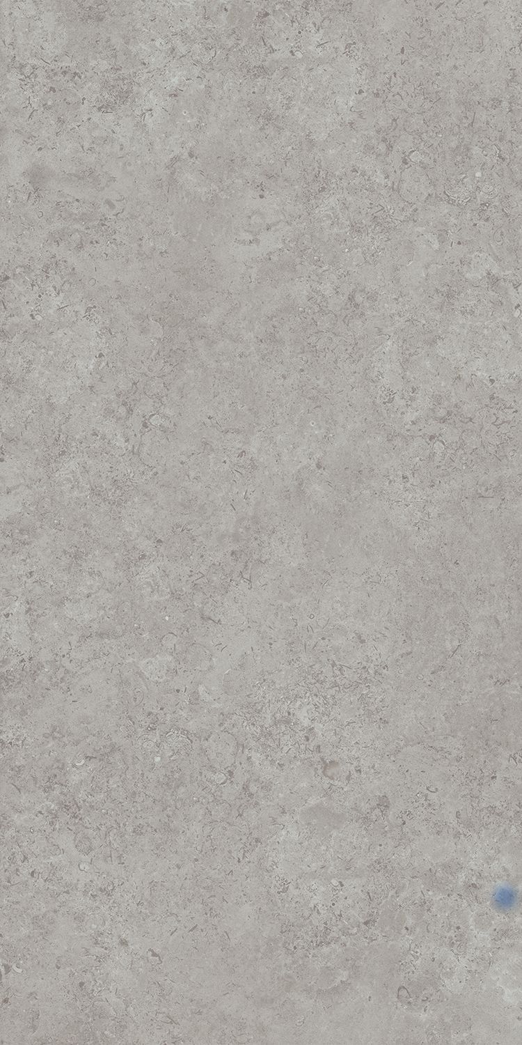 Керамогранит DD590600R Про лаймстоун АТ серый (238,5см*119,5см*11мм) (15шт/42,751м2) камень, м2 Керамогранит DD590600R Про лаймстоун АТ серый (238,5см*119,5см*11мм) (15шт/42,751м2) камень, м2