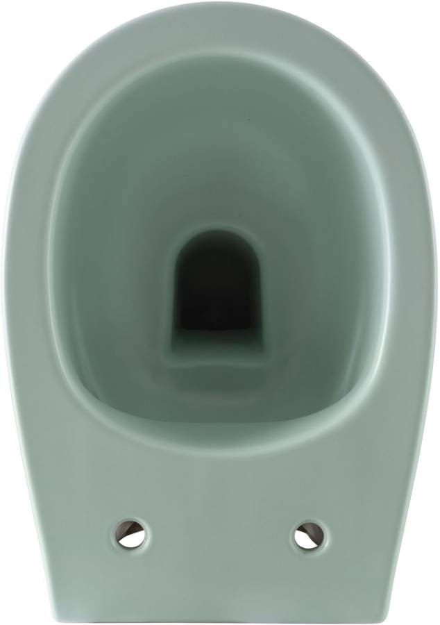 Чаша подвесного унитаза Allen Brau Fantasy 4.11004.MT мятный Чаша подвесного унитаза Allen Brau Fantasy 4.11004.MT мятный