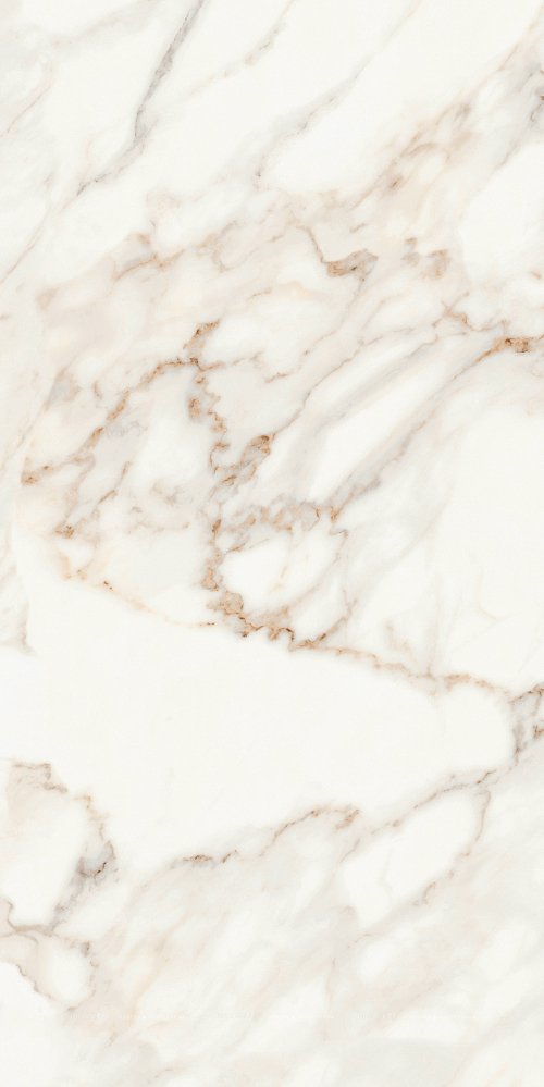 Керамогранит Calacatta Satin 60х120 Керамогранит Calacatta Satin 60х120