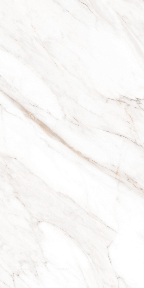 Керамогранит Calacatta Gold Polished 60х120 Керамогранит Calacatta Gold Polished 60х120
