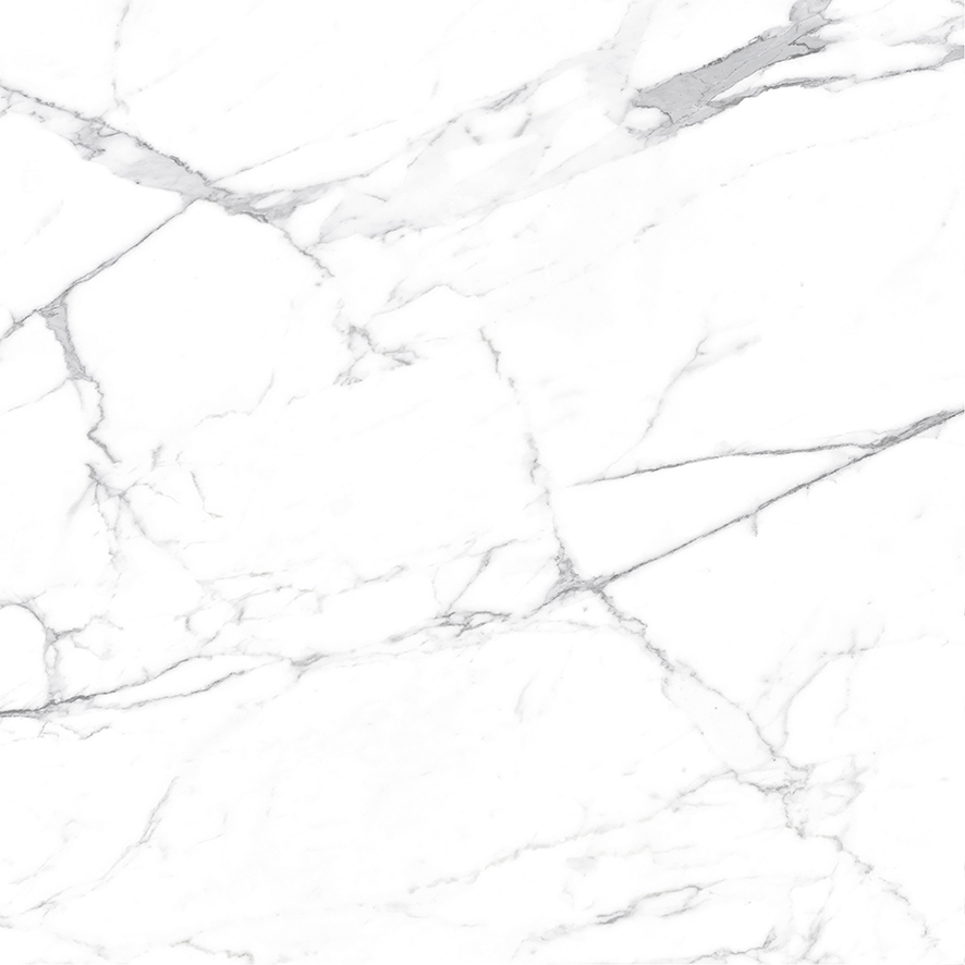 Carrara Terrific Silver Керамогранит белый 60х60 Матовый Carrara Terrific Silver Керамогранит белый 60х60 Матовый