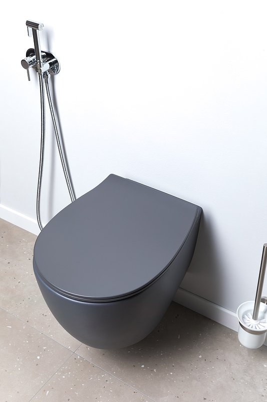 Чаша подвесного унитаза Allen Brau Fantasy 4.11004.AN антрацит Чаша подвесного унитаза Allen Brau Fantasy 4.11004.AN антрацит