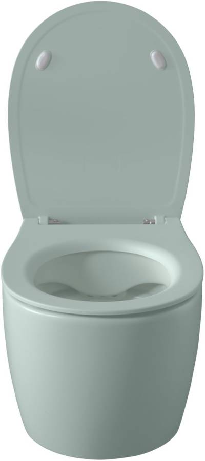 Чаша подвесного унитаза Allen Brau Fantasy 4.11004.MT мятный Чаша подвесного унитаза Allen Brau Fantasy 4.11004.MT мятный