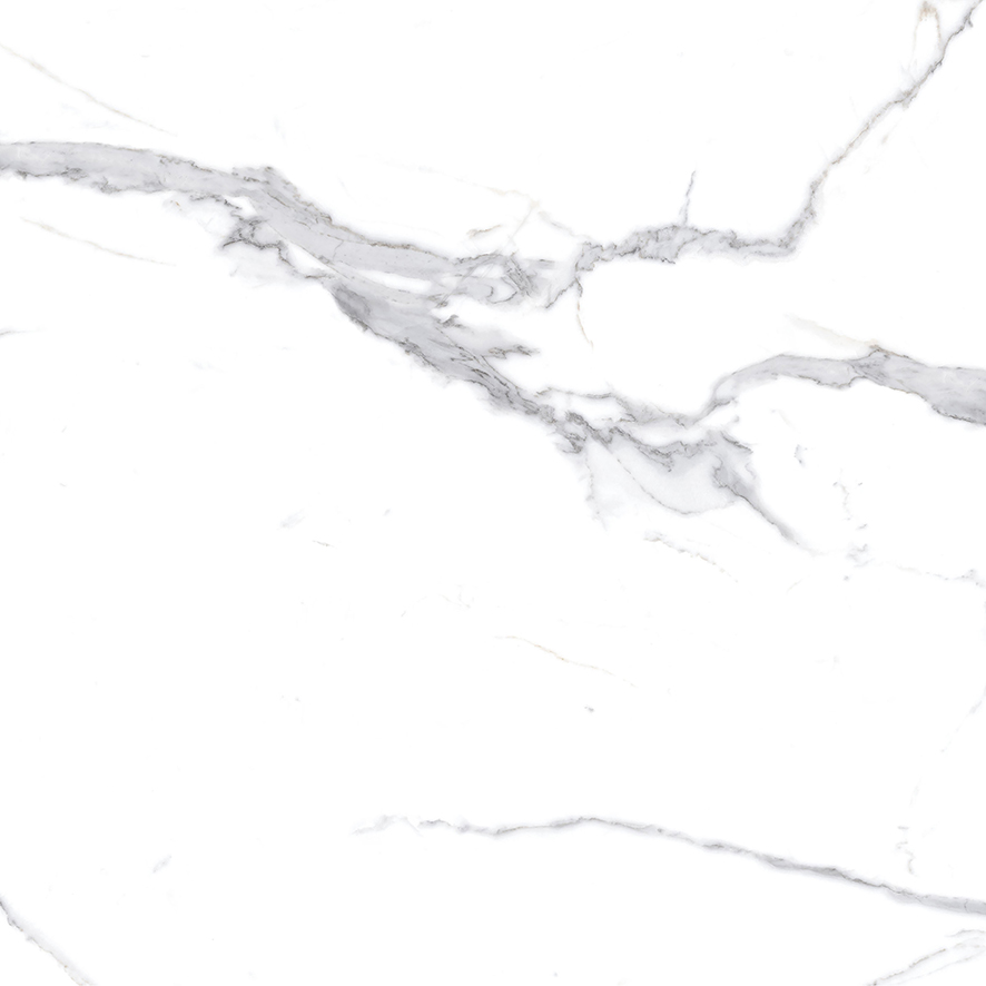 Calacatta Splendid Silver Керамогранит белый 60х60 Матовый Calacatta Splendid Silver Керамогранит белый 60х60 Матовый