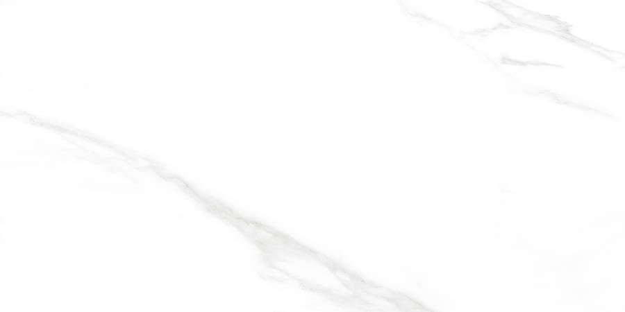 Carrara Excellent Silver Керамогранит белый 60х120 Матовый Carrara Excellent Silver Керамогранит белый 60х120 Матовый