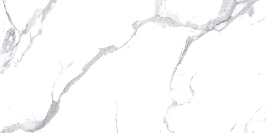 Calacatta Splendid Silver Керамогранит белый 60х120 Полированный Calacatta Splendid Silver Керамогранит белый 60х120 Полированный