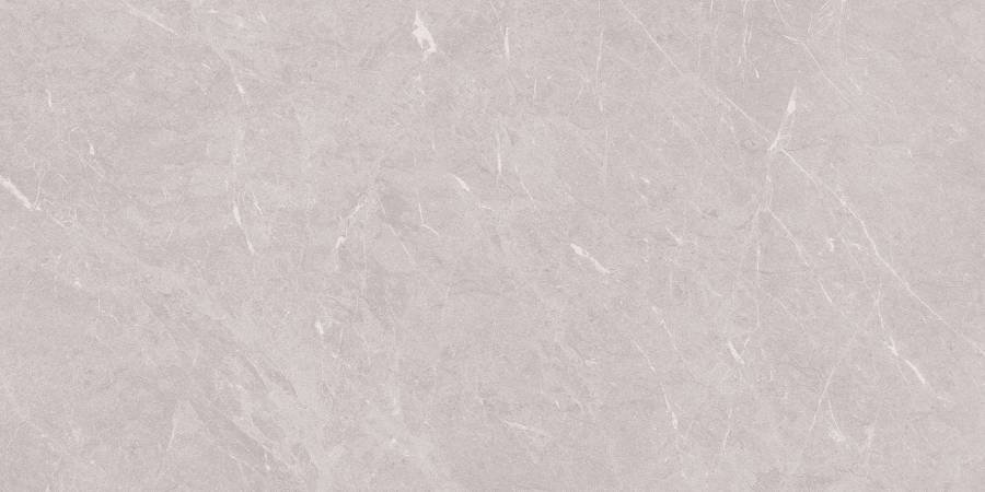 Stone Sovereign Керамогранит серый 60х120 Матовый Stone Sovereign Керамогранит серый 60х120 Матовый