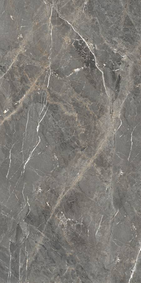 GT1206012109SPR Керамогранит Tulip_GT Темно-сер. 60x120 _ 1\46,08 GT1206012109SPR Керамогранит Tulip_GT Темно-сер. 60x120 _ 1\46,08