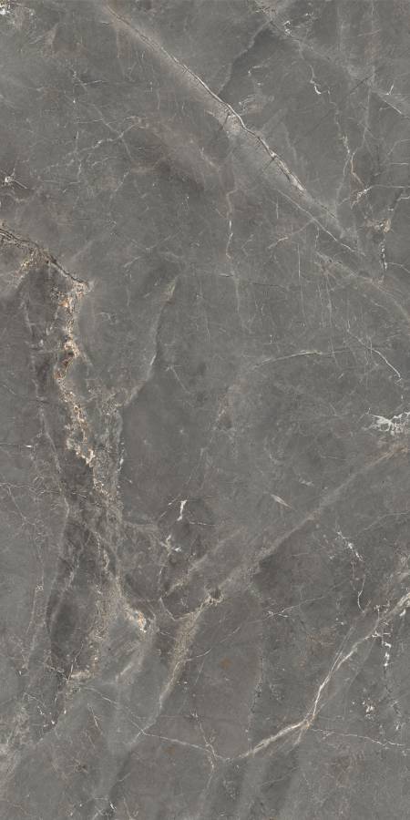 GT1206012109SPR Керамогранит Tulip_GT Темно-сер. 60x120 _ 1\46,08 GT1206012109SPR Керамогранит Tulip_GT Темно-сер. 60x120 _ 1\46,08