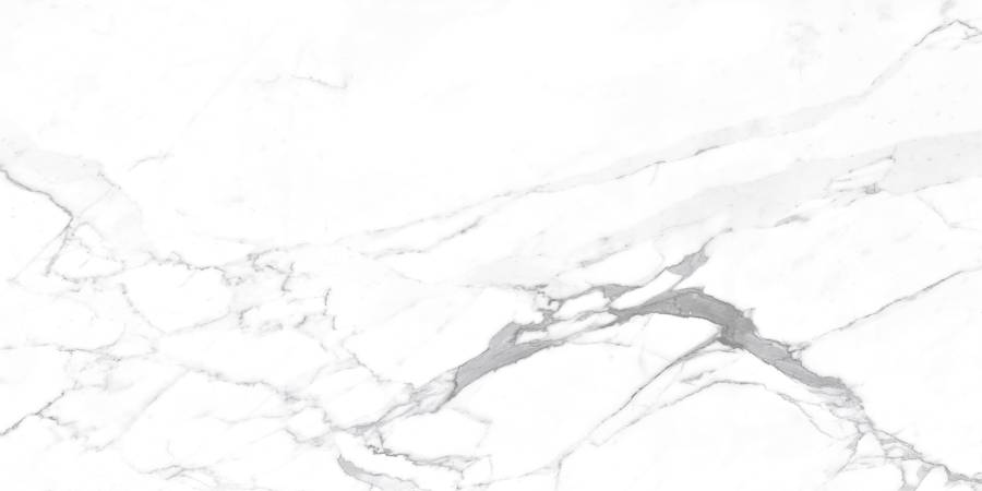 Carrara Terrific Silver Керамогранит белый 60х120 Матовый Carrara Terrific Silver Керамогранит белый 60х120 Матовый