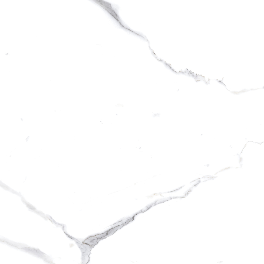 Calacatta Splendid Silver Керамогранит белый 60х60 Матовый Calacatta Splendid Silver Керамогранит белый 60х60 Матовый