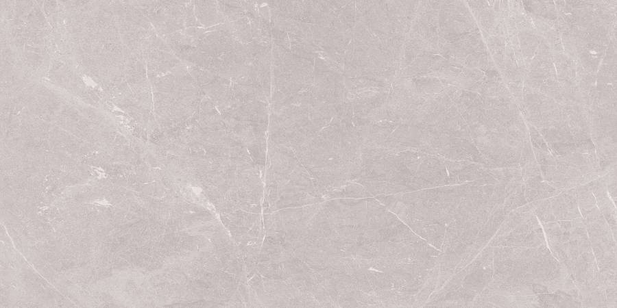 Stone Sovereign Керамогранит серый 60х120 Матовый Stone Sovereign Керамогранит серый 60х120 Матовый