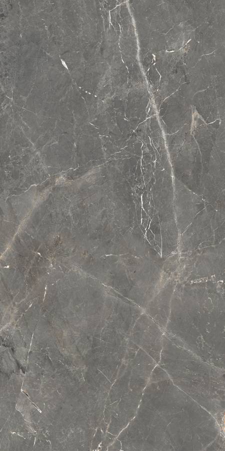 GT1206012109SPR Керамогранит Tulip_GT Темно-сер. 60x120 _ 1\46,08 GT1206012109SPR Керамогранит Tulip_GT Темно-сер. 60x120 _ 1\46,08