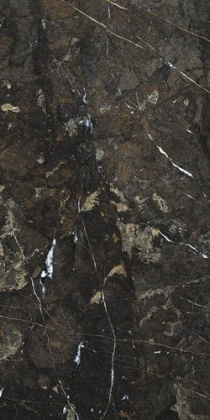 Керамогранит Amarula Pol Rect 60х120 Керамогранит Amarula Pol Rect 60х120