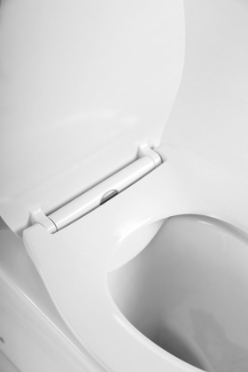 Крышка-сиденье BelBagno Сидения и комплектующие BB2020-1SC