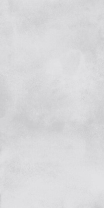 GT223VG Керамогранит Storm_GT светло-сер. 30x60  1\58,32