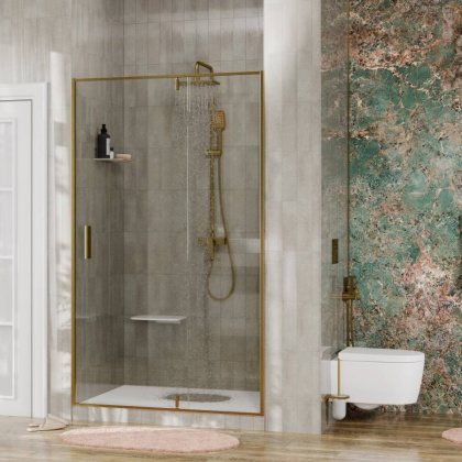 Aisch 55P05 Душевая дверь Wasserkraft