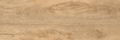 Керамогранит G-251/SR/200x600x8 GRASARO 20х60