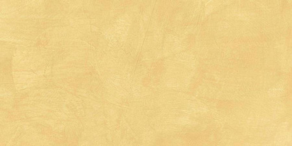 SR04 60x120х10 Непол.Рект. (Керамический гранит)