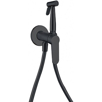 Смеситель с гигиеническим душем Aquanet Passion AF300-52B (с внутренней частью)