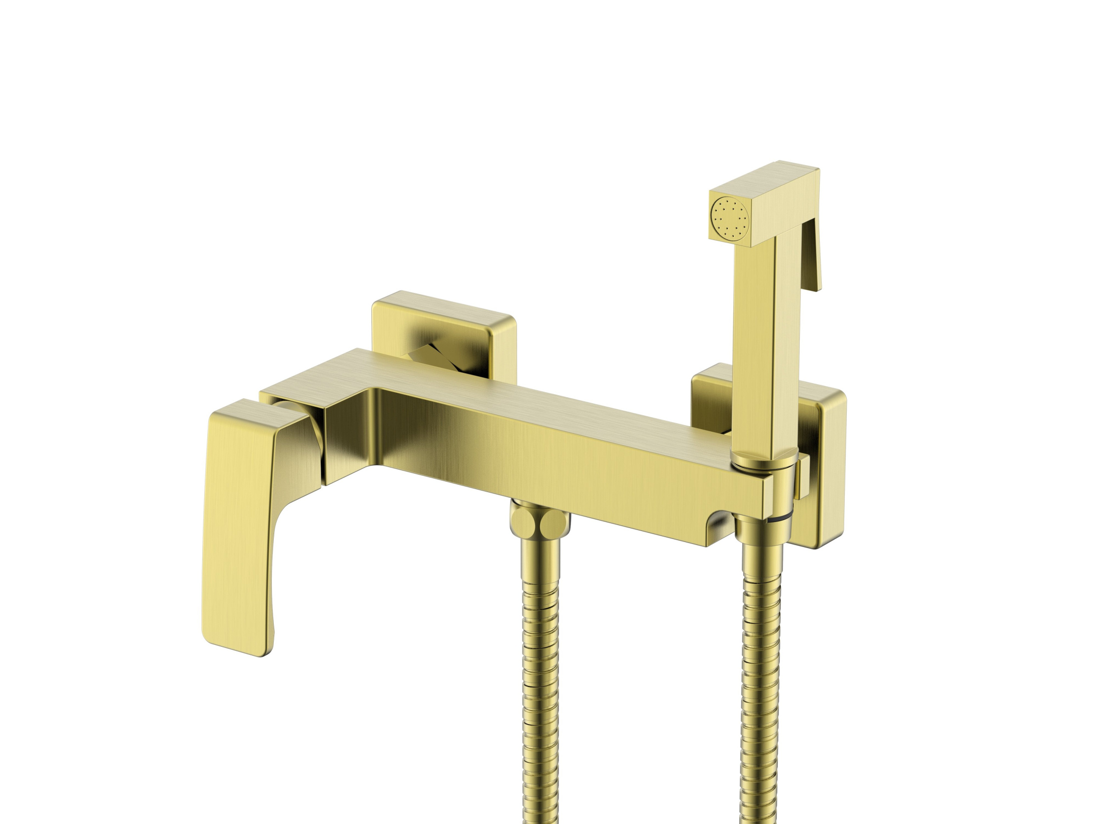 Смеситель Raglo настенный с гигиеническим душем R01.51.03