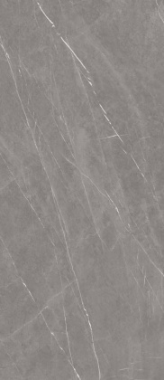 Керамогранит Pietra Roma 120х278х6 Керамогранит Pietra Roma 120х278х6